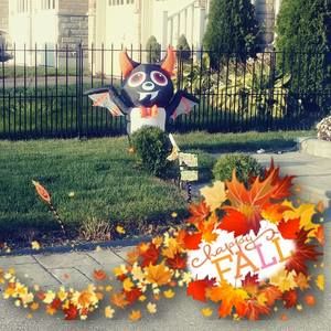 Meet your Posher, Helen